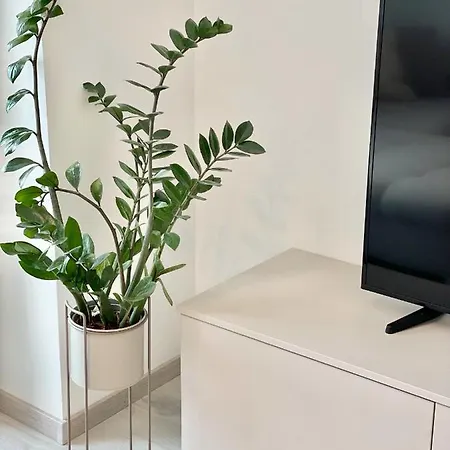 Apartament Cashmere Premium *
